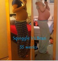 S v B 35 weeks 2..jpg