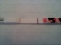 5dpo2.jpg