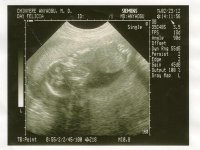 its a boy!.jpg