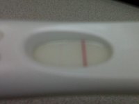 new test.JPG