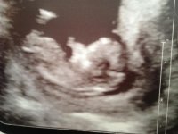 photo (4).jpg