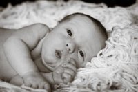IMG_7832.jpg