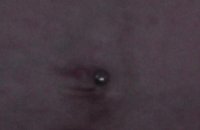 belly.jpg