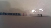 opk cd 12.jpg