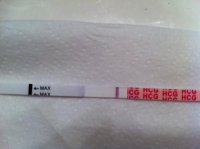 10dpo.jpg