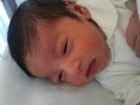 2012-03-10 16.23.02.jpg