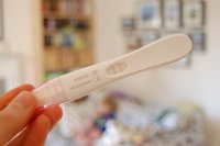 14dpo.jpg