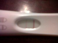 newest test.jpg