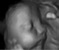 4D scan 4.jpg