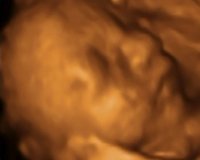 4D scan 2.jpg