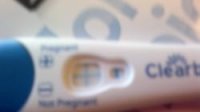 Test.jpg