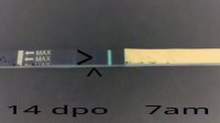 14 dpo 7a negative effect.jpg