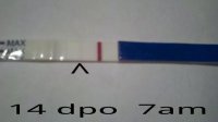 14 dpo 7a original pic.jpg