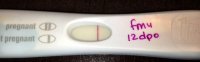 12 dpo (2).jpg