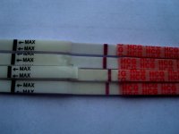 10dpo5.jpg