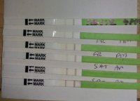 IMAG0141ab.jpg