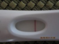 IMG_0191.jpg