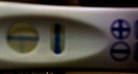 6dpo3.5.jpg