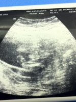 photo (1).jpg