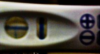 6dpo3.5.jpg