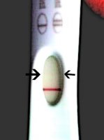 posss8dpo.jpg