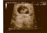 scan0001.jpg