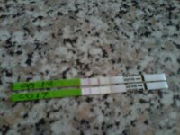 IMG-20120401-00167.jpg