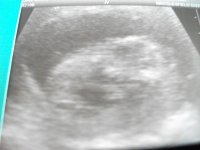 baby cockburn 2.jpg
