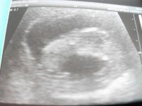 baby cockburn 3.jpg