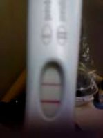 frer3mu13..jpg