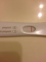 photo (14).jpg