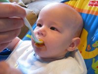 butternut1.jpg