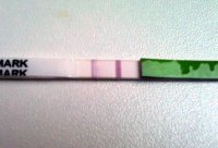 photo (12).jpg