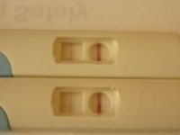 preg......jpg