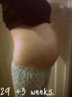 IMG02130-20120408-2028.jpg