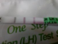 LH 10.4.12.jpg