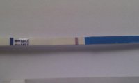 IMAG0407.jpg IMAG0407.jpg