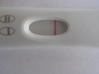 IMG_5089dr.jpg