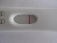 IMG_5091dr2.jpg