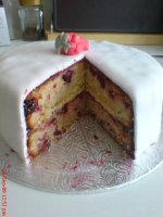 DSC01169.jpg