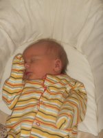 PICT0005.JPG