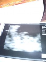 preggo 035.jpg
