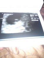 preggo 036.jpg