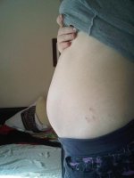 IMG01567-20120412-1643.jpg
