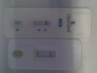 IMG00455-20120412-0714.jpg