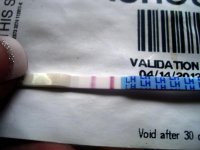 cd19 OPK.jpg