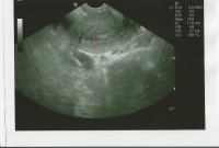 4-16-12 Scan without Title Names.jpg