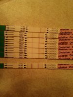 OPK.jpg