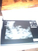 preggo 040.jpg