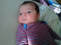 IMG-20120412-00046.jpg